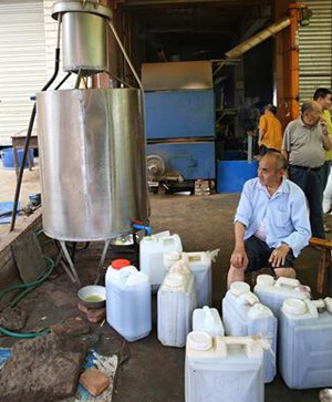 榨油机使用现场